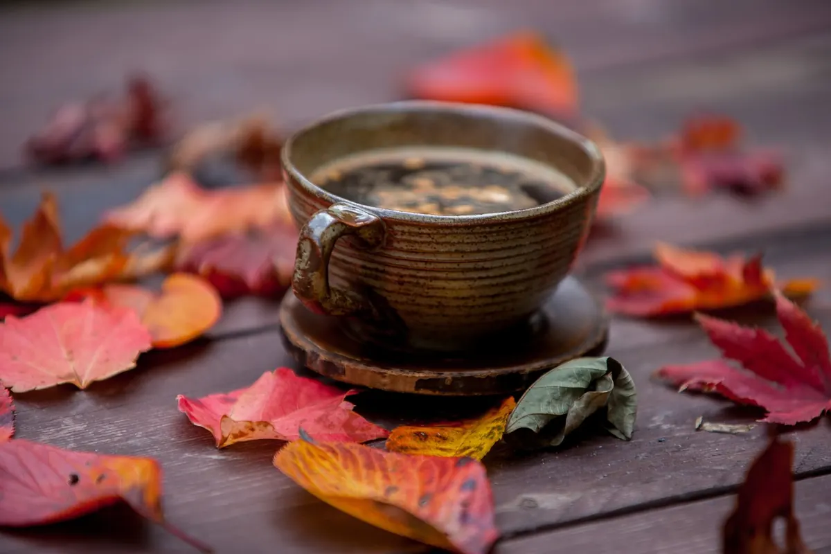 Autumn Tea Pairings: 6 Warming Teas and Simple Snacks for Cool Evenings